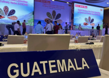 Guatemala logra reconocimiento internacional para su vainilla maya y cardamomo negro